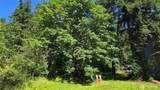 178 XX Lake Desire Drive - Photo 17