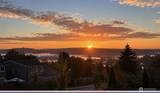 6774 43rd Street - Photo 3