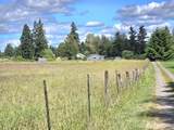 11916 Fillman Road - Photo 32