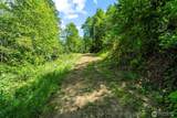 19005 Buncombe Hollow Road - Photo 28