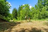 19005 Buncombe Hollow Road - Photo 29