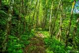 19005 Buncombe Hollow Road - Photo 32