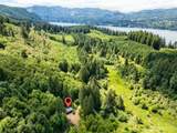 19005 Buncombe Hollow Road - Photo 40