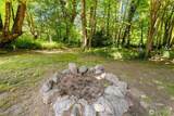 41887 Cape Horn Drive - Photo 32