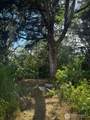 16743 Bucoda Highway - Photo 9