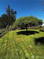 96 Scenic Lane - Photo 26