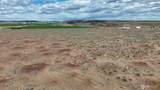 21340 Adrian Road - Photo 8