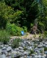 44115 Fir Road - Photo 20