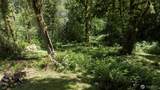 6467 Us Highway 101 - Photo 26