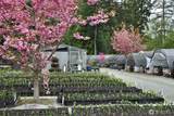 6545 Cultus Bay Road - Photo 36