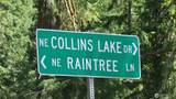 431 Collins Lake Dr. - Photo 20