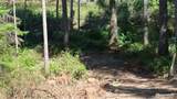 431 Collins Lake Dr. - Photo 3