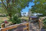 11425 Patsy Drive - Photo 30