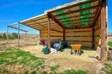 1240 Huntzinger Road - Photo 13