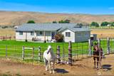 1240 Huntzinger Road - Photo 3