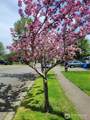 506 Skinner Way - Photo 4