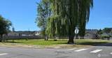 105 3rd Street - Photo 2
