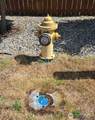 105 3rd Street - Photo 10