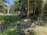 1183 Blyn Springs Road - Photo 3