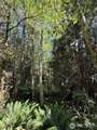 1183 Blyn Springs Road - Photo 26