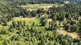 21842 Elbow Lake Road - Photo 12