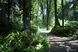 31121 403rd Drive - Photo 2