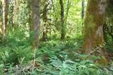 31121 403rd Drive - Photo 28