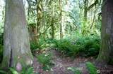 31121 403rd Drive - Photo 30