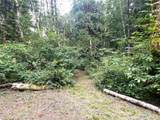 31121 403rd Drive - Photo 5