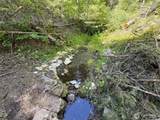 0 TBD Toroda Creek Road - Photo 5