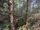 0 Blue Valley Road - Photo 9