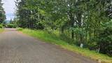 27339 403rd (Lots 39,47,48,49) Street - Photo 25