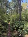 0 Fowler Park - Photo 2
