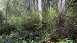 0 Fowler Park - Photo 3
