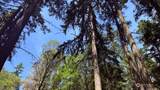 0 Fowler Park - Photo 4