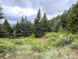 0 Pontiac Ridge Road - Photo 5