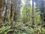 0 Alder - Photo 3