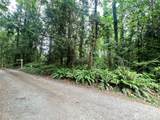 0 Alder - Photo 4