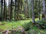 56919 384th Avenue Ct - Photo 12