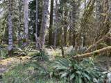 56919 384th Avenue Ct - Photo 6