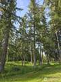 0 NKA Satsop Road - Photo 26