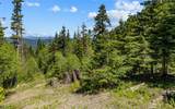 2000 Rocky Mountain Way - Photo 2