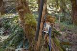 999 Bagley Creek Road - Photo 12