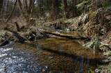 999 Bagley Creek Road - Photo 5