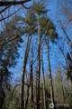 999 Bagley Creek Road - Photo 7
