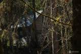 999 Bagley Creek Road - Photo 10