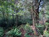 5445 County Line Road - Photo 17