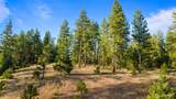 1631 Creekside Road - Photo 15
