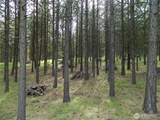 0 Tbd Blue Meadow Rd - Photo 25