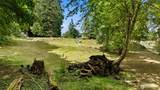 54 Raft Island Drive - Photo 7
